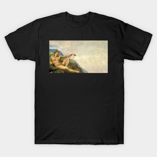 Michelangelo's Adam meets reality T-Shirt by Distinct Designs NZ